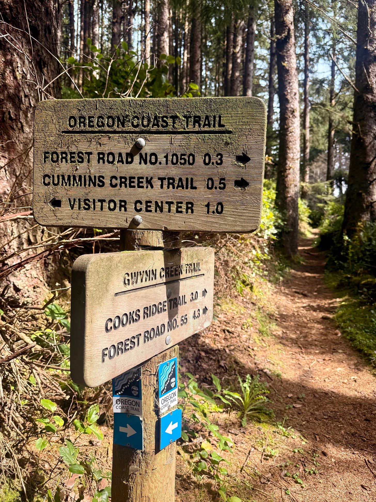 Connecting from Gwynn Creek Trail to the Discovery Trail