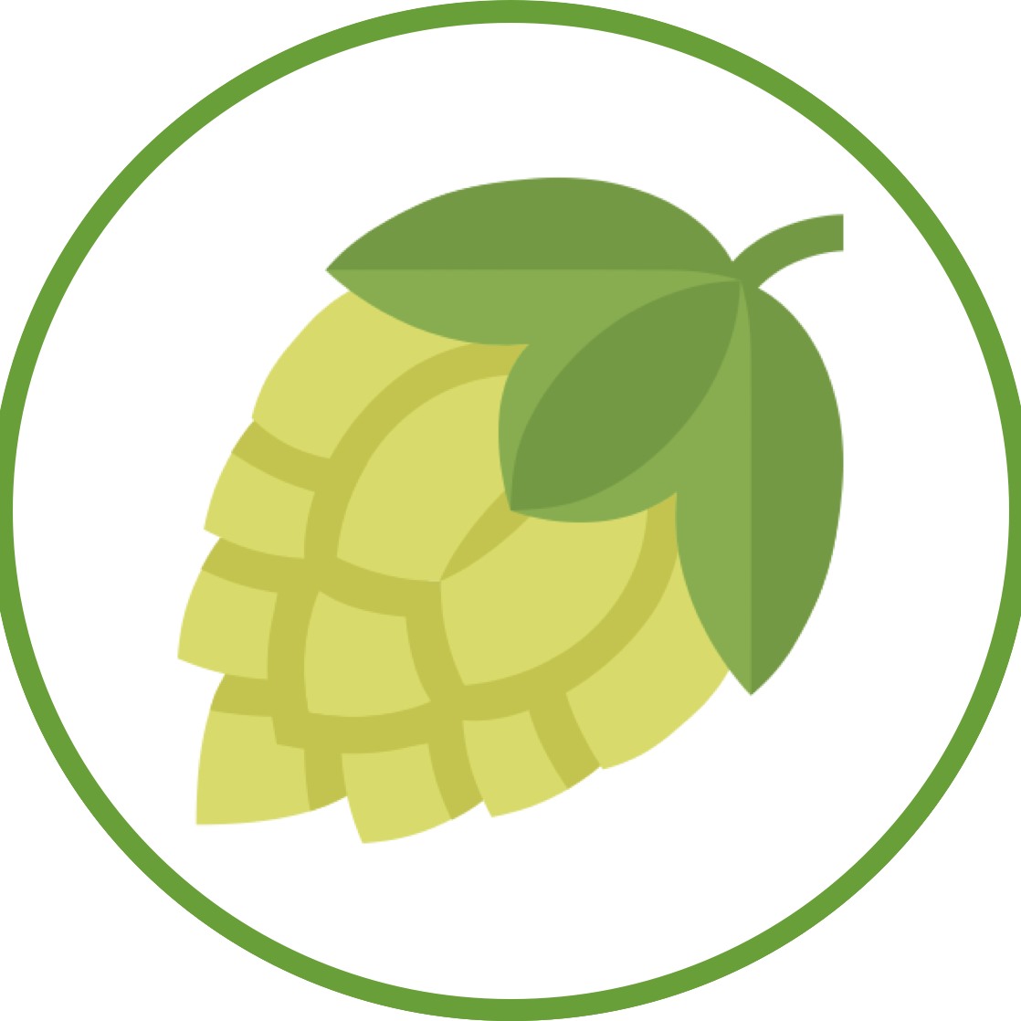 This week in Craft Beer 