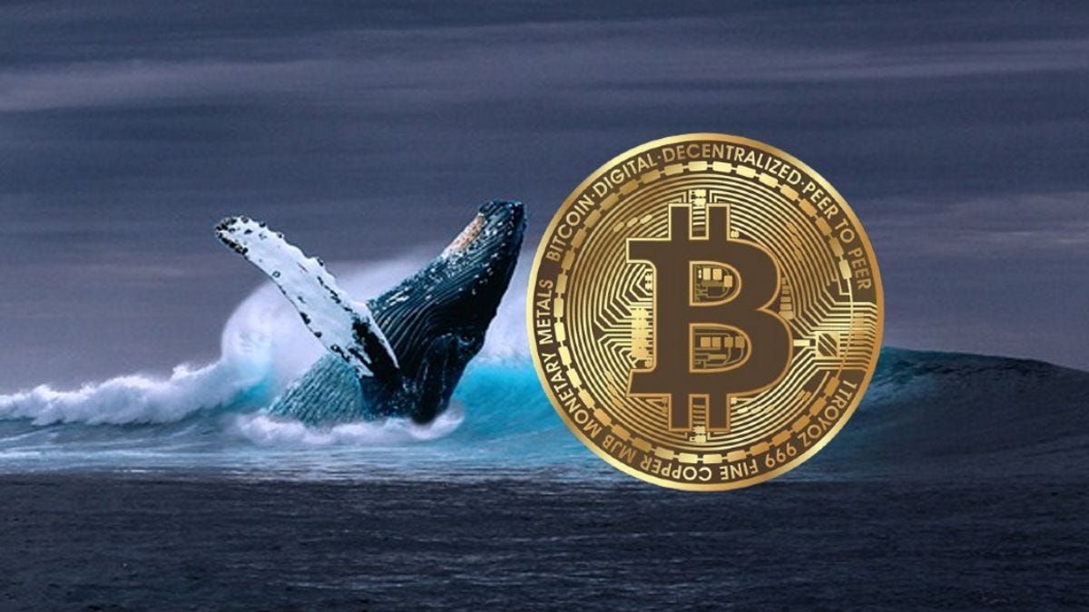 Long Sleep, Whale Bitcoin Starts Rising Moves Thousands Of BTC To New Wallet