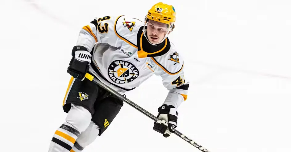 Explaining How Former Pro Hockey Players are Becoming NCAA Eligible
