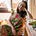 Jennifer Piette's avatar