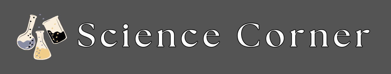 Science Corner Kidney Beans