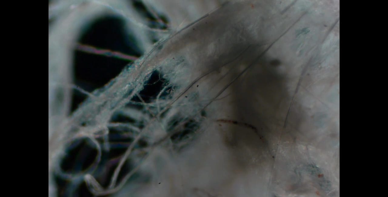California Spider Silk - Isopropyl Bath - Part 5