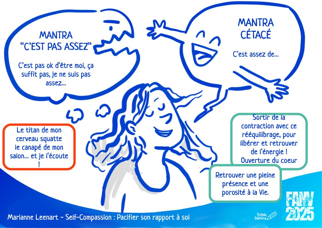Aucune description alternative pour cette image