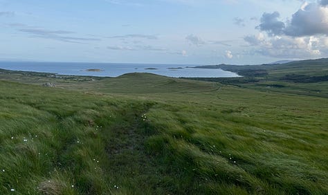 Clumps of bog grass closeup, with a deer, and stretching down to the coast