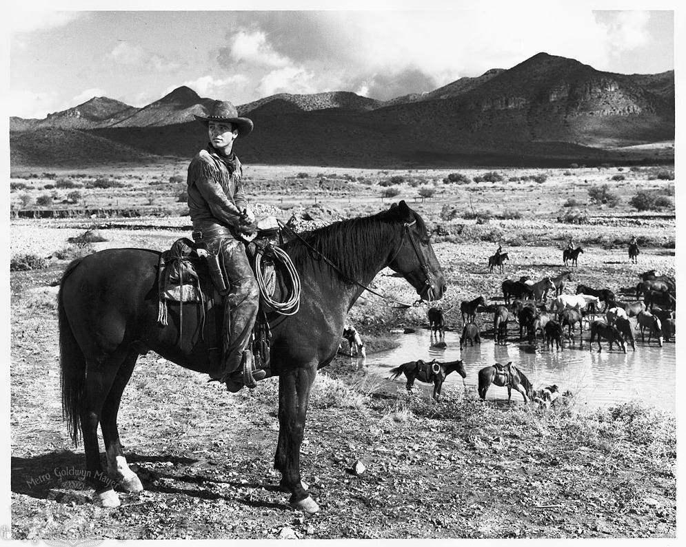 Red River (1948) - Photos - IMDb