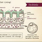 The Migrant Microbiome