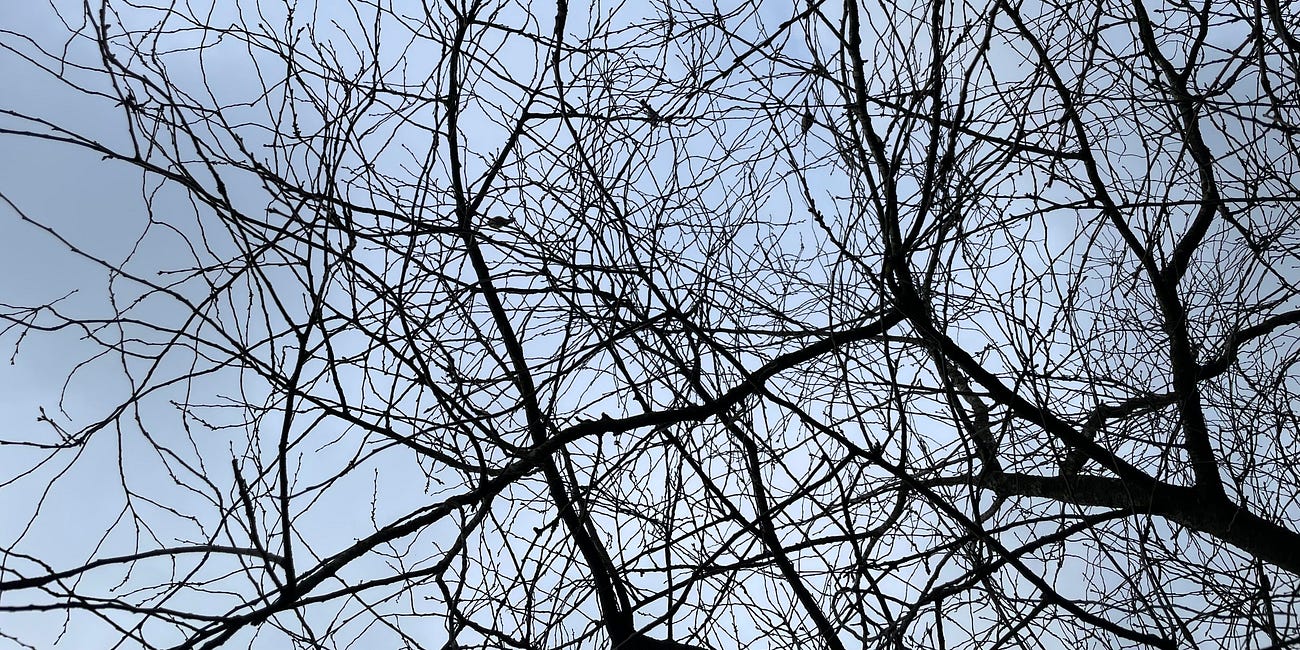 Reframing Grey
