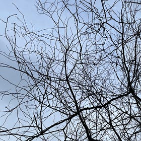 Reframing Grey