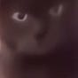 Kittens Mittens's avatar