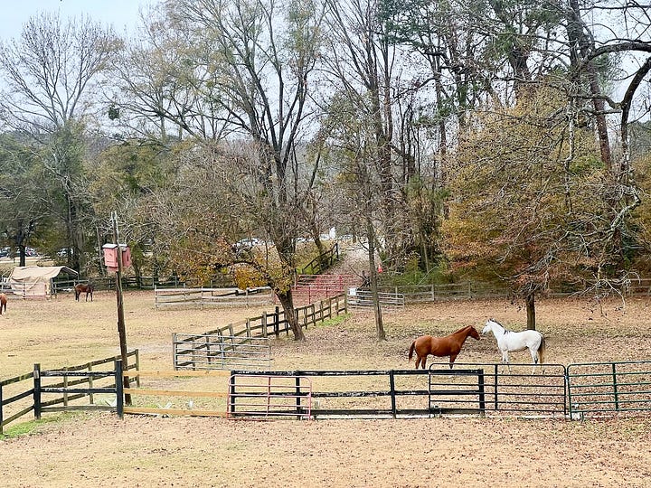 Little Creek Horse Farm