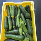 what do I do with all of this zucchini???