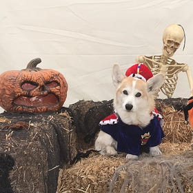 Contrarian Pets of the Week