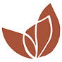 Coletivo MAÍN's avatar