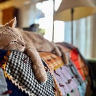 The Sunday Paws: #5