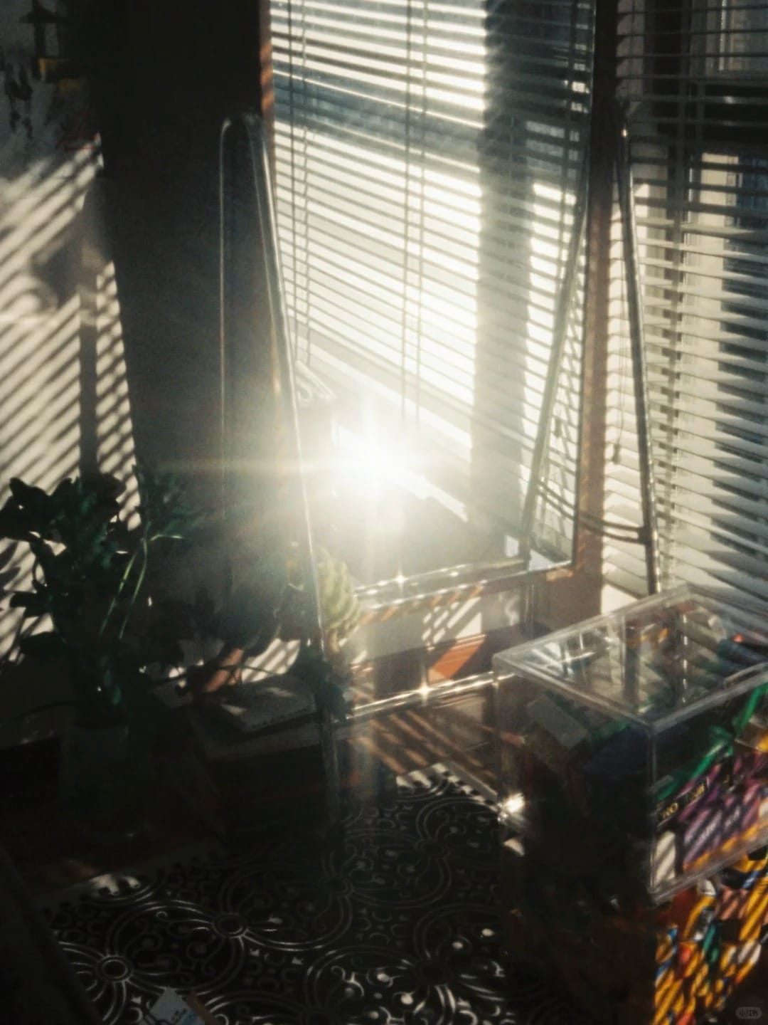 她和她的胶片相机