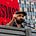 Chris Dols's avatar