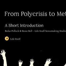 From Polycrisis to Metacrisis: a short introduction