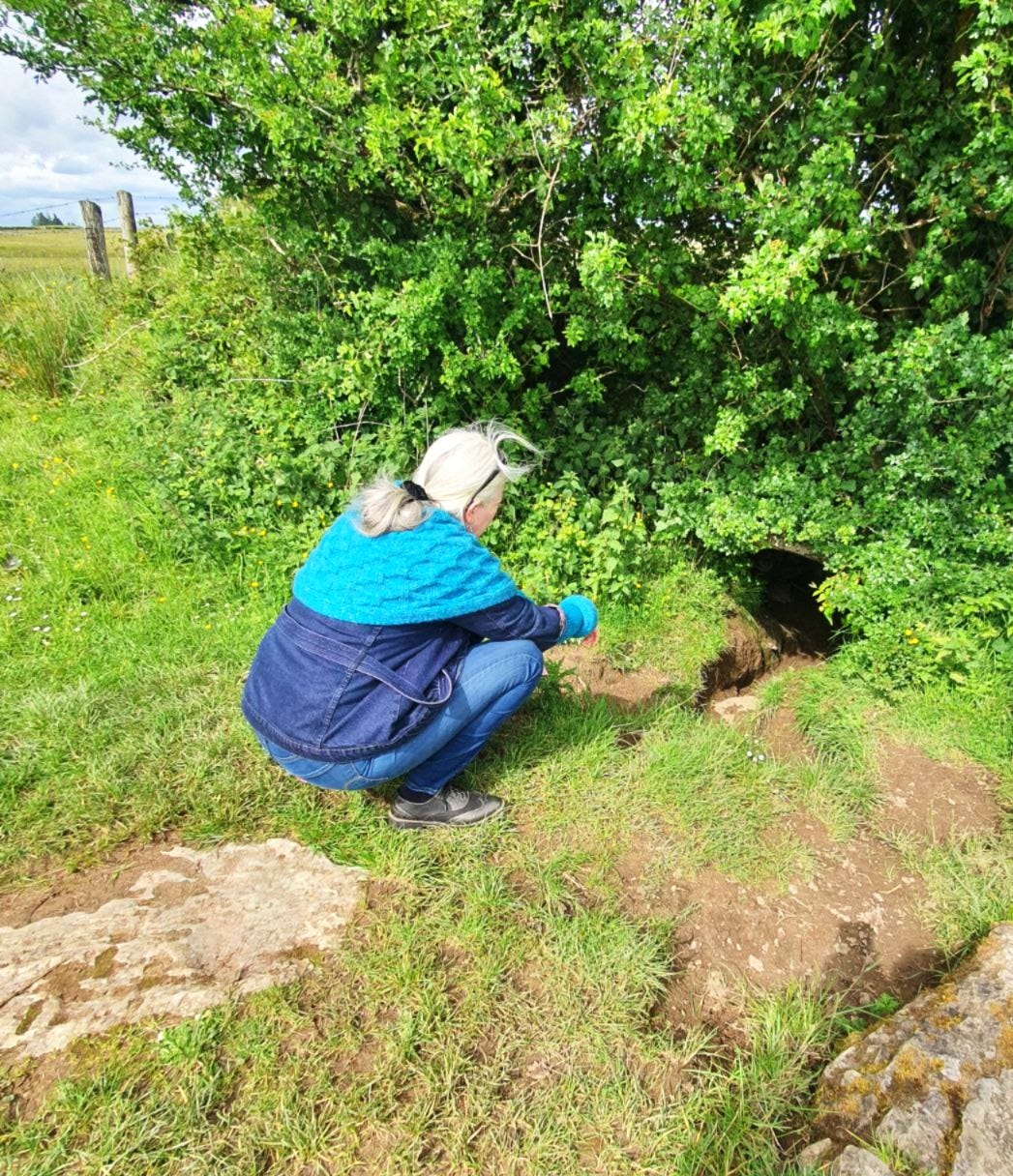 Elizabeth des Roches The Creatrix Experience ©2025 Eithne Warren