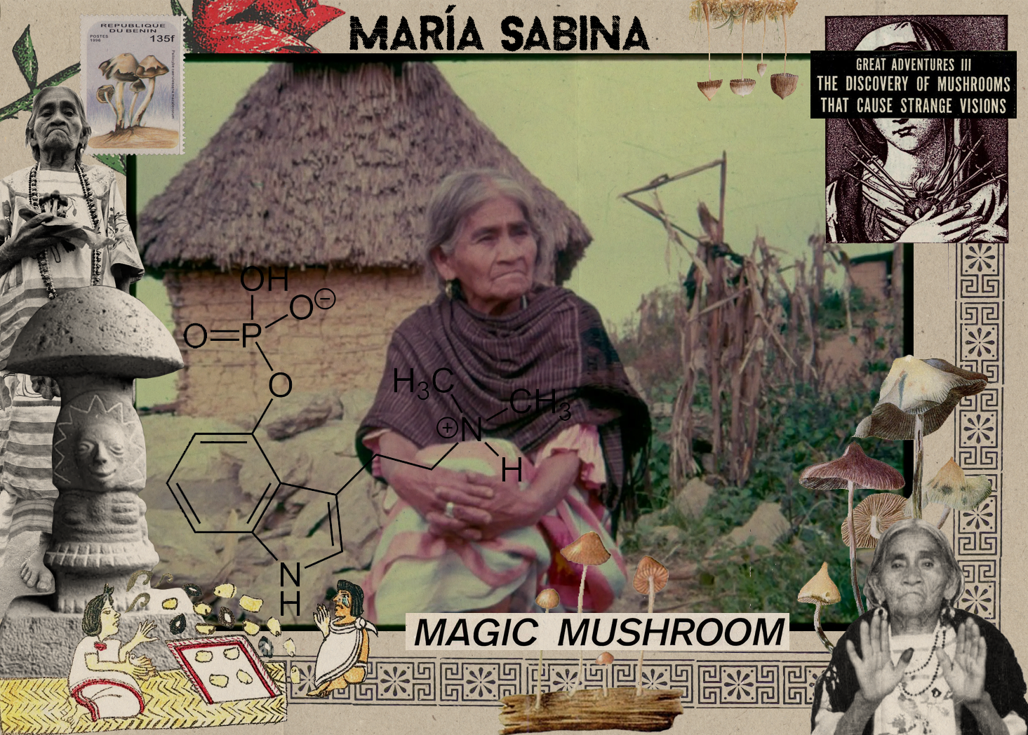 shortcut to mushrooms tobacco Reviews | Just For Him and written by mycologists for other mycologists Mara Sabina: The Mother of