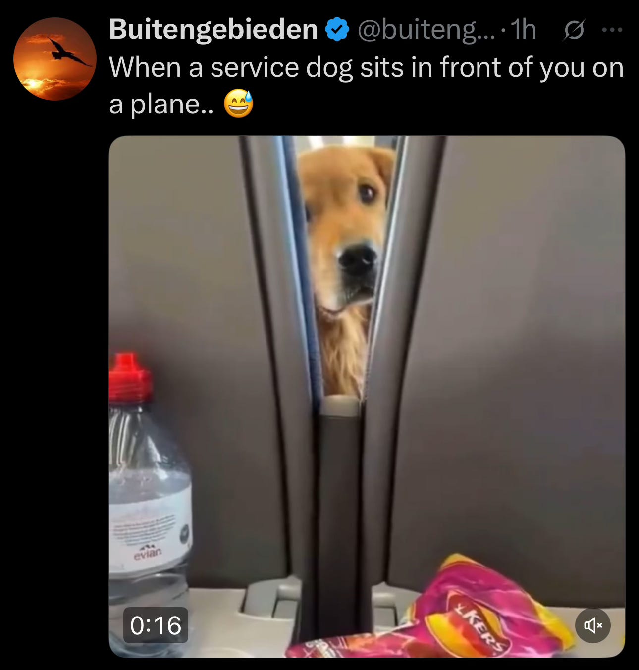 Image.heic Image.heic