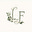 Lucia Ferri's avatar