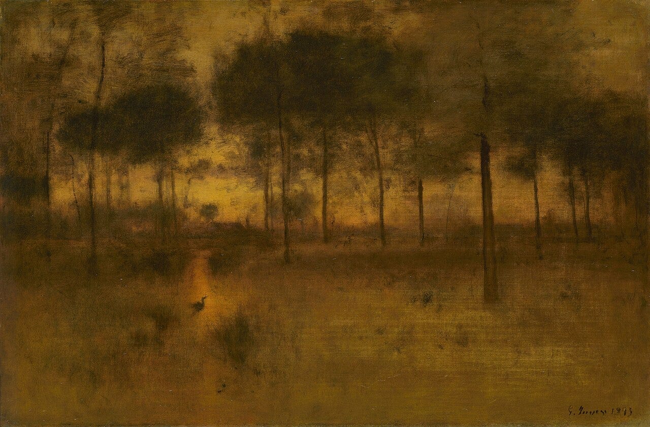 A Florida marsh melting into warm haze A Florida marsh melting into warm haze