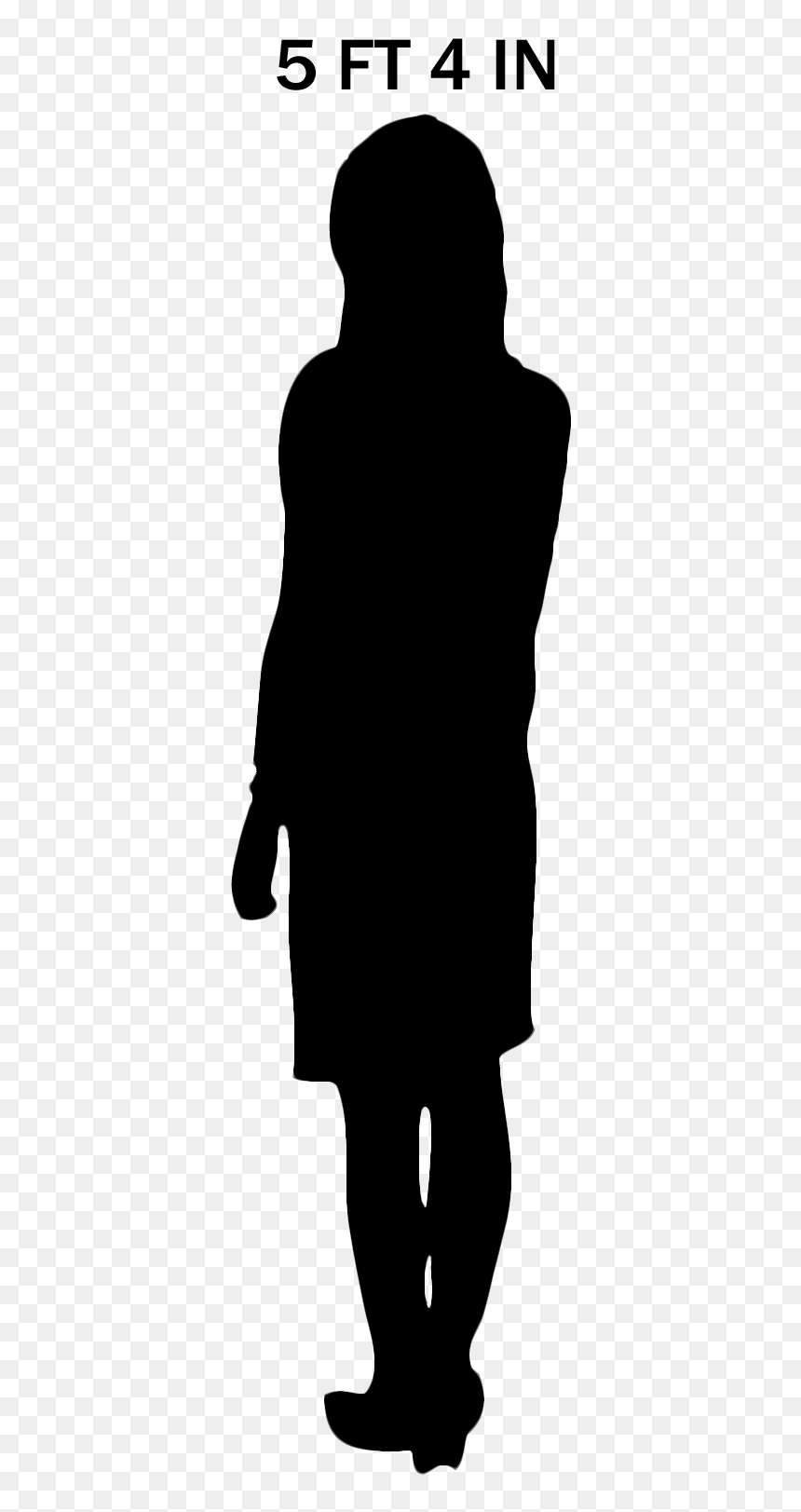 What Is A Scale Figure at Angela Harper blog