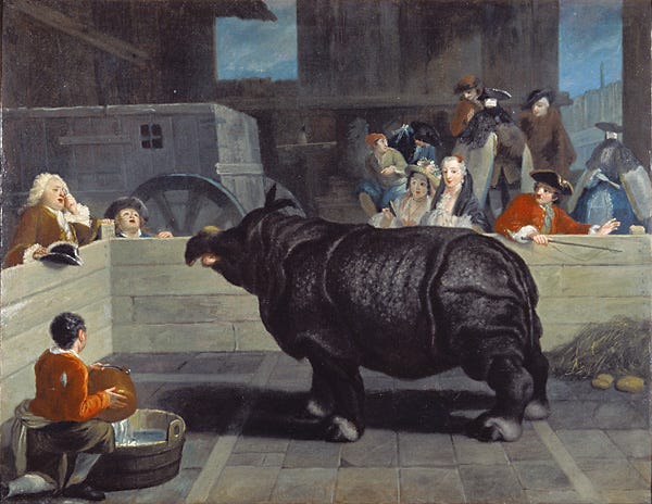 Rhinoceros in Venice, 1751 - Pietro Longhi