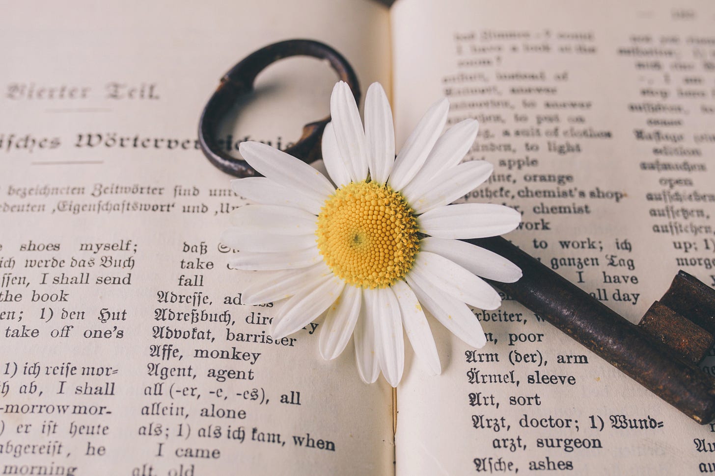 A key and a daisy on a dictionary page