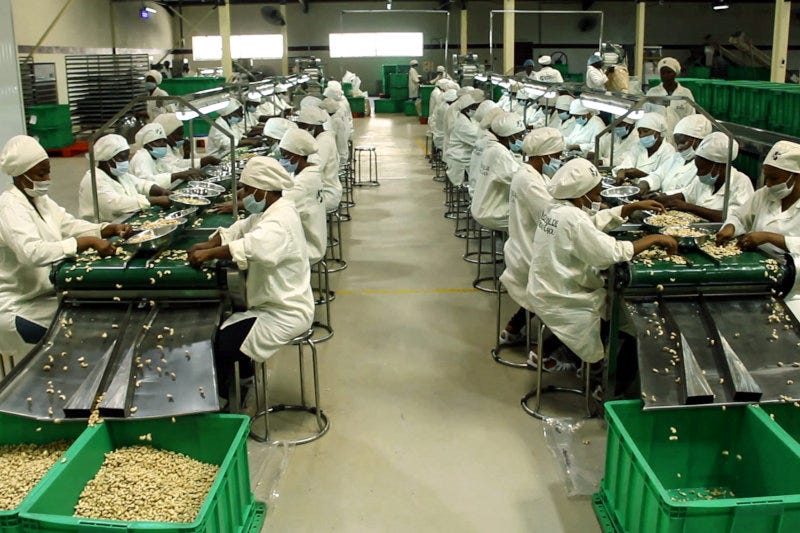 Employees at Cashew Coast's factory.