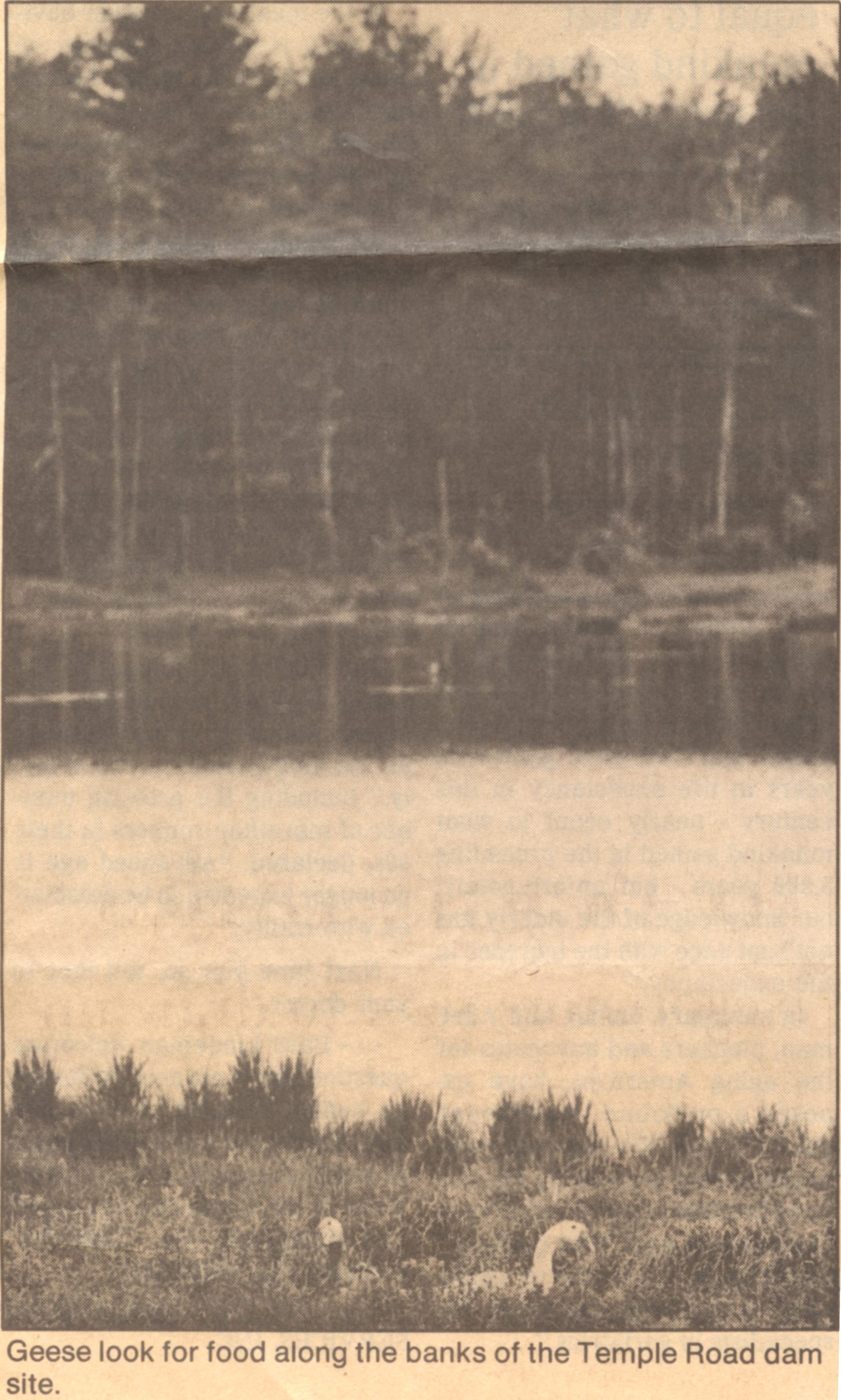 Temple Road Dam