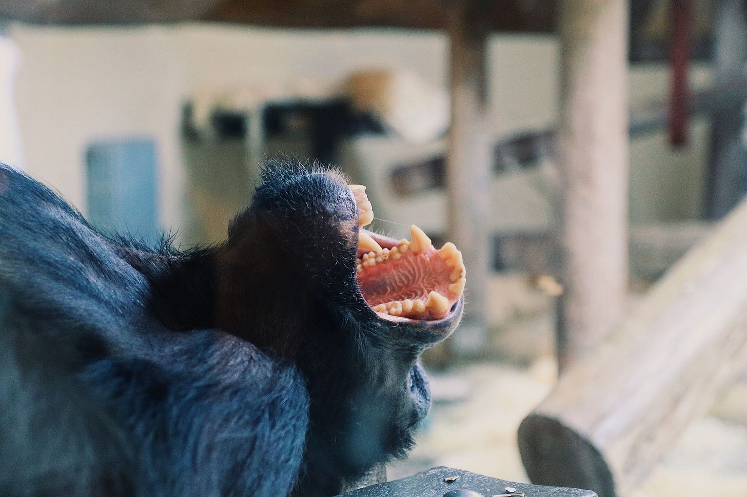 People, Passions & Projects #1: JennaPhoto People, Passions & Projects #1: JennaPhoto