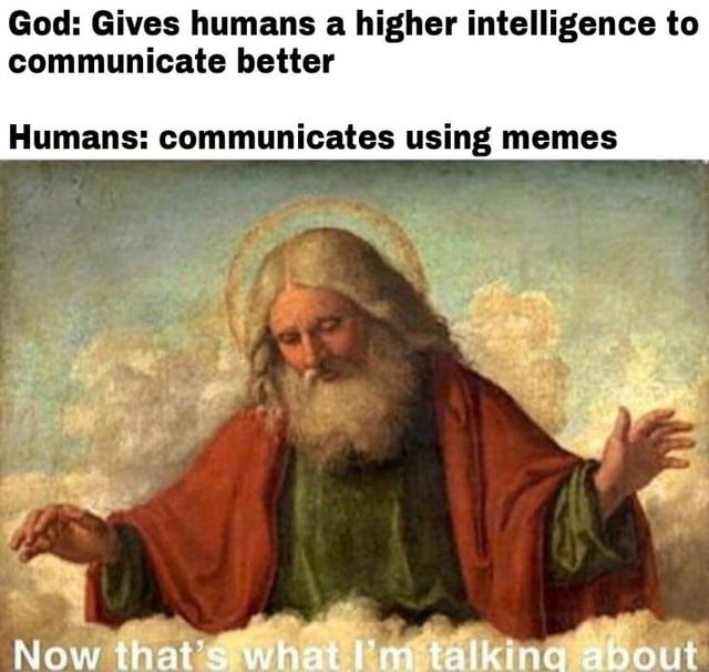 r/memes - God: Gives humans a higher intelligence to communicate better Humans: communicates using memes Now that's what I'm talking about