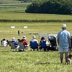 Watching dogs and sheep