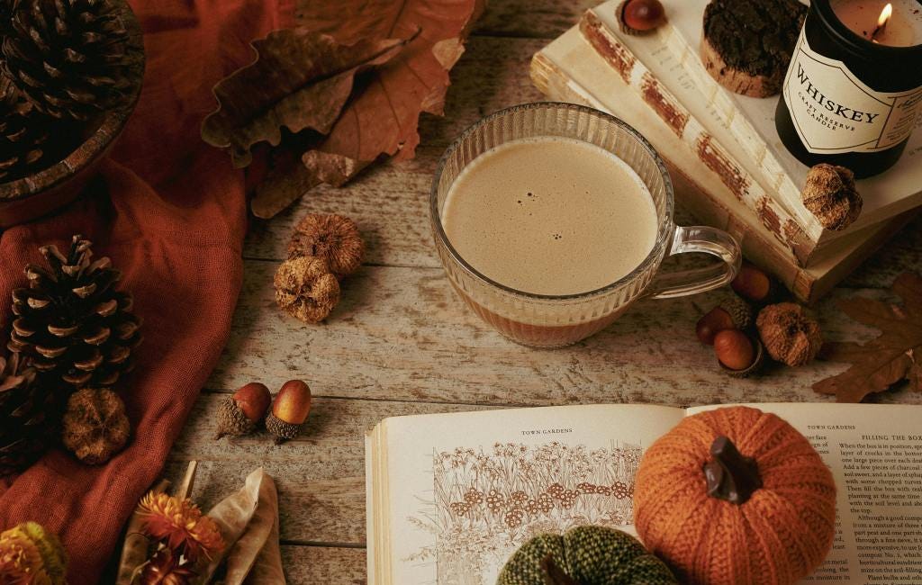The Art of Autumn Homemaking: Rooted Colours for a Season of Stillness