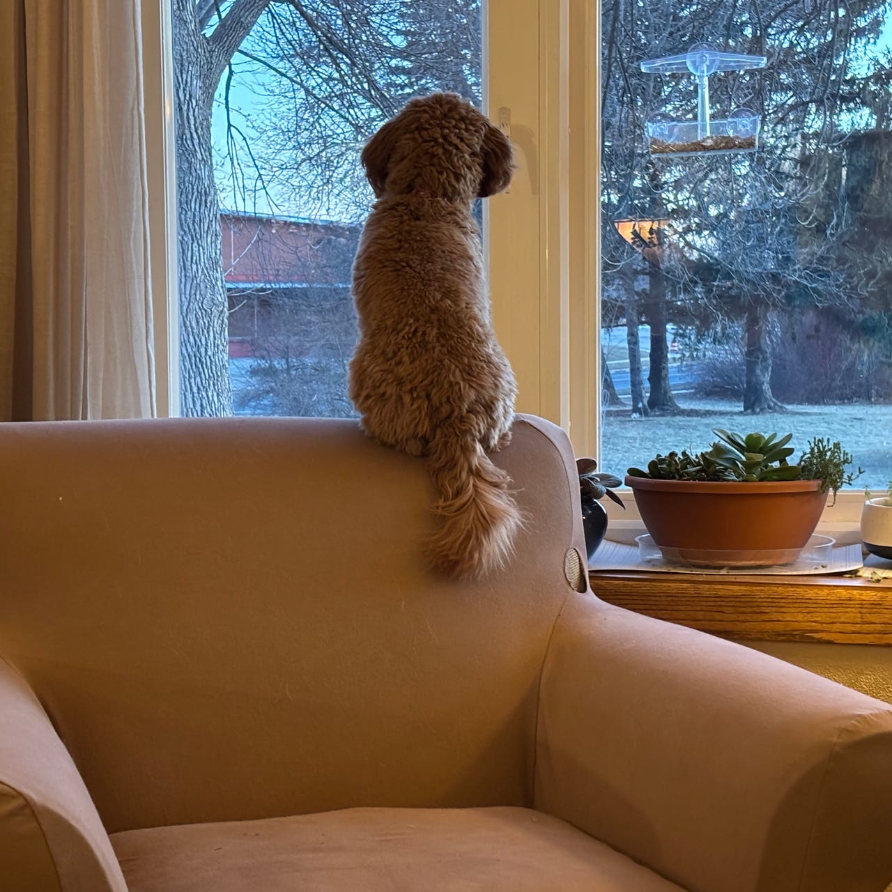 How Did We Get There?