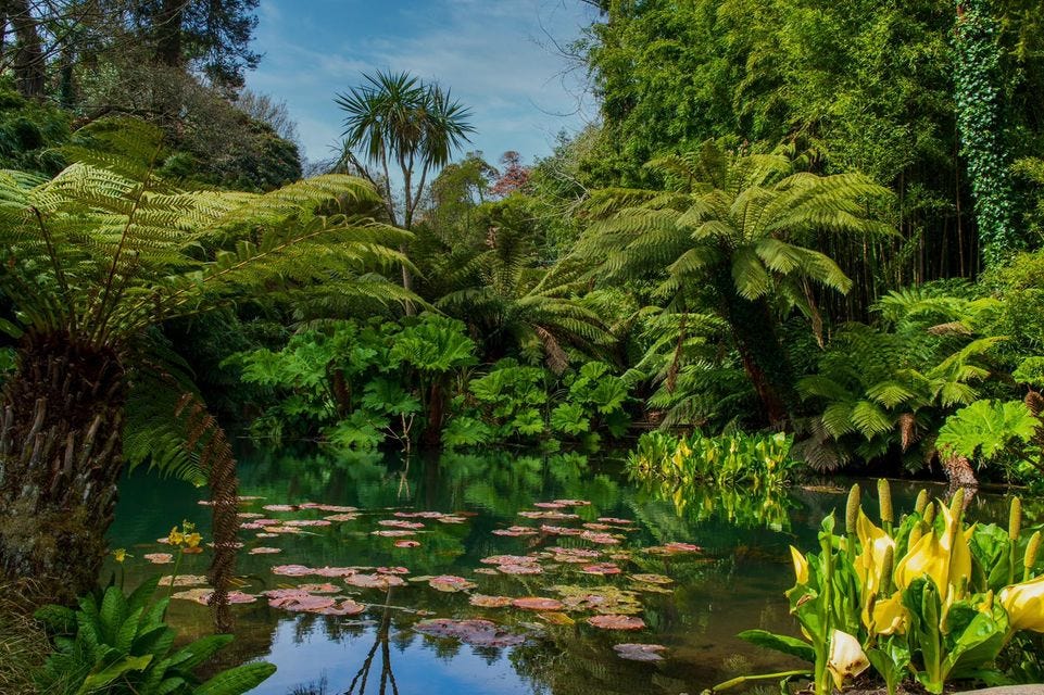 Image may contain: plant, tree, sky, outdoor, nature and water Image may contain: plant, tree, sky, outdoor, nature and water