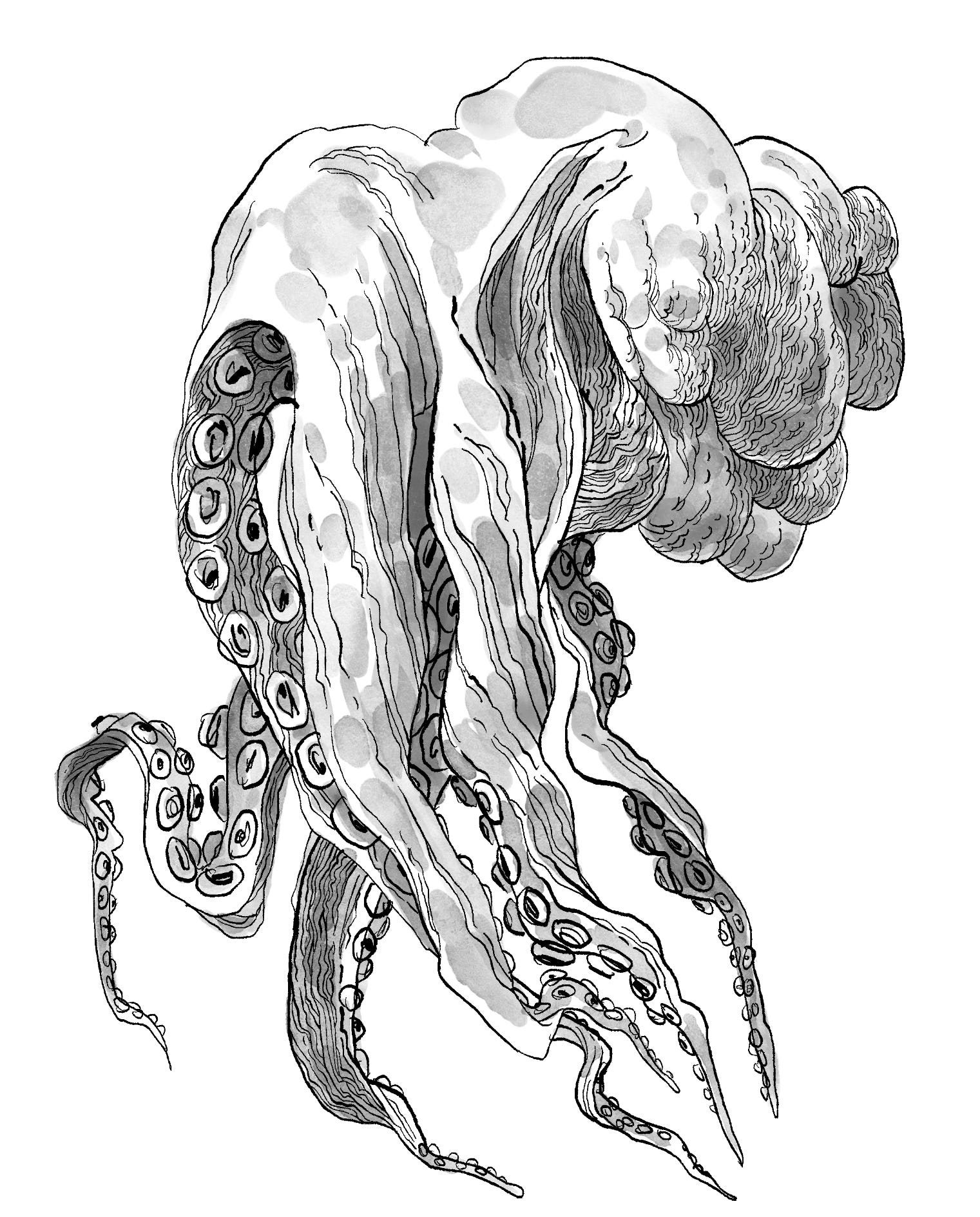 BONUS: mega sketchbook '24 - by ND Stevenson