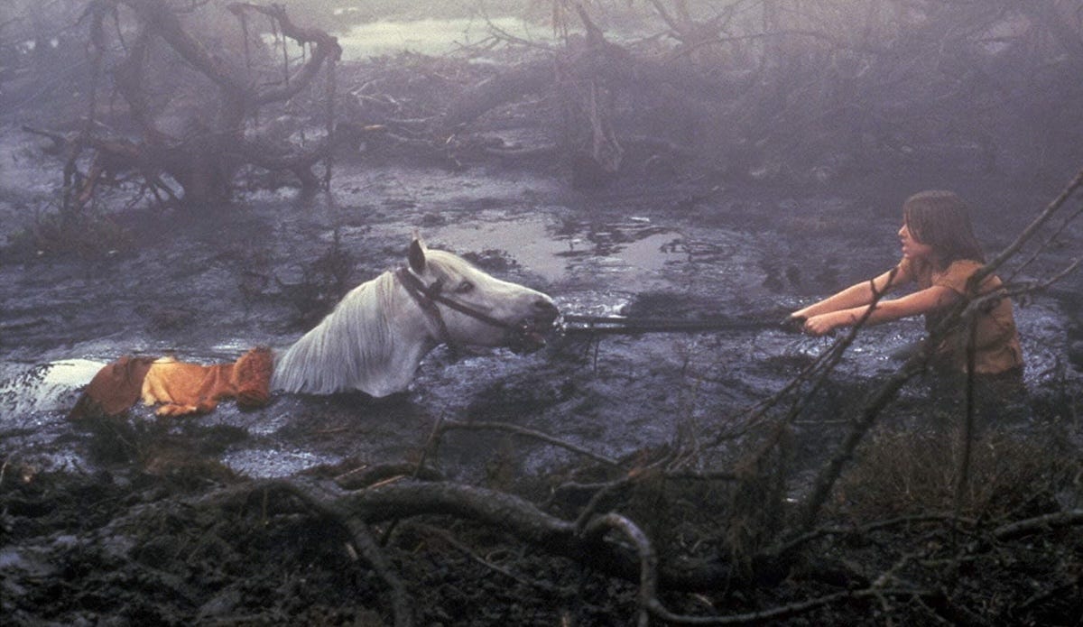 The NeverEnding Story Scene So Traumatic It Damaged a Generation and  Birthed a Legend | Den of Geek