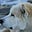 @GPE (BlueSky) - WNY via CO&NJ's avatar
