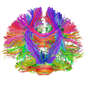 Psychofauna