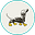 Darling Dog's avatar