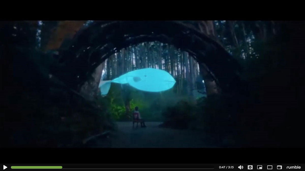 Canadian Retailer Promotes Euthanasia Through MAiD Program Canadian Retailer Promotes Euthanasia Through MAiD Program