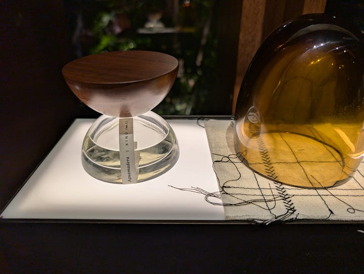 Exploring Mexico's botanical beauty through Xin fragrances