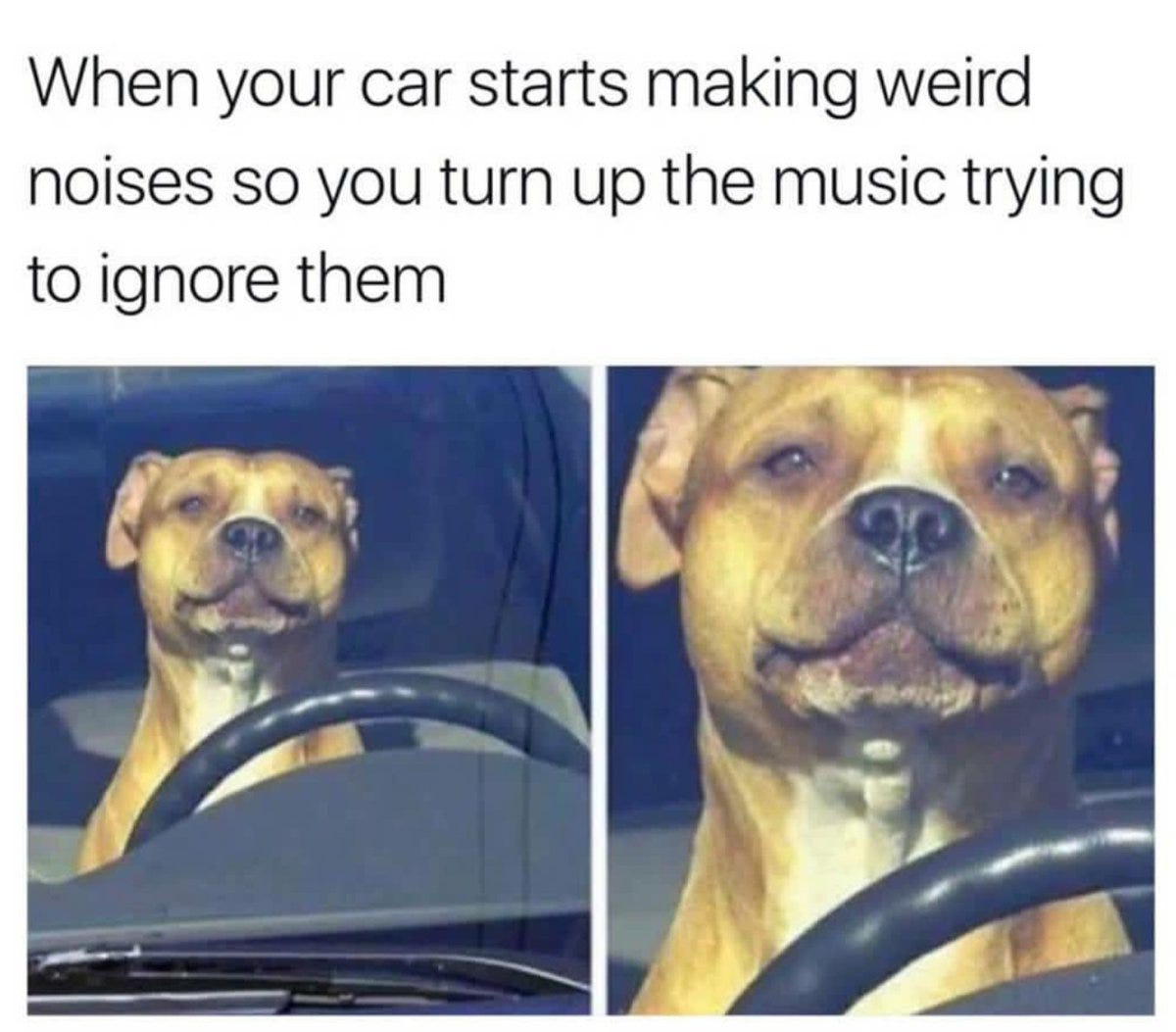 And sing like in the shower #amemeaday #memeoftheday #meme #memes #car # brokedown #broke