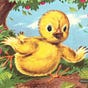 Chicken Little's avatar