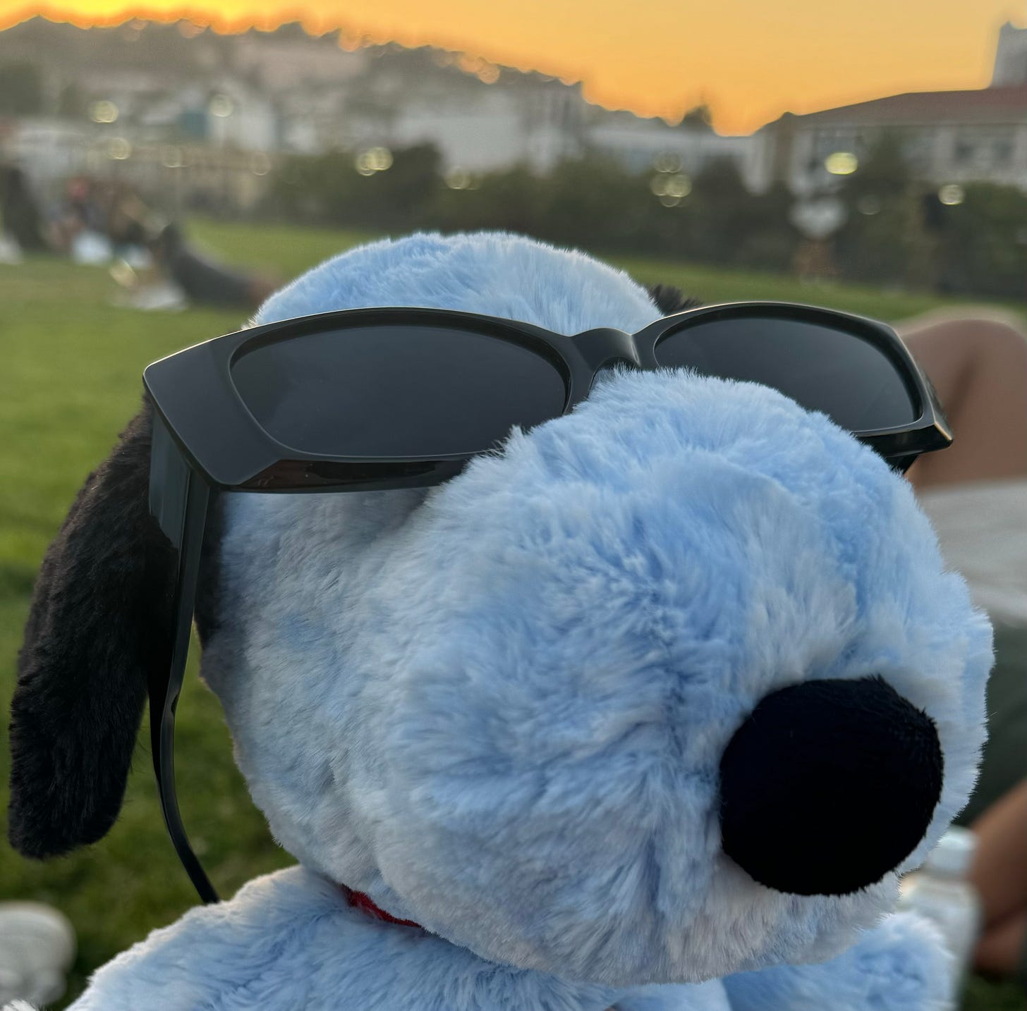 A stuffed Blue Snoopy toy wearing sunglasses at the park at sunset.