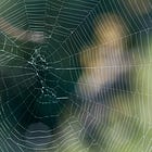 i (still) suck at talking to men: an ex-misandrist's experience with gendered communication styles