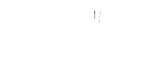 C.P. Company